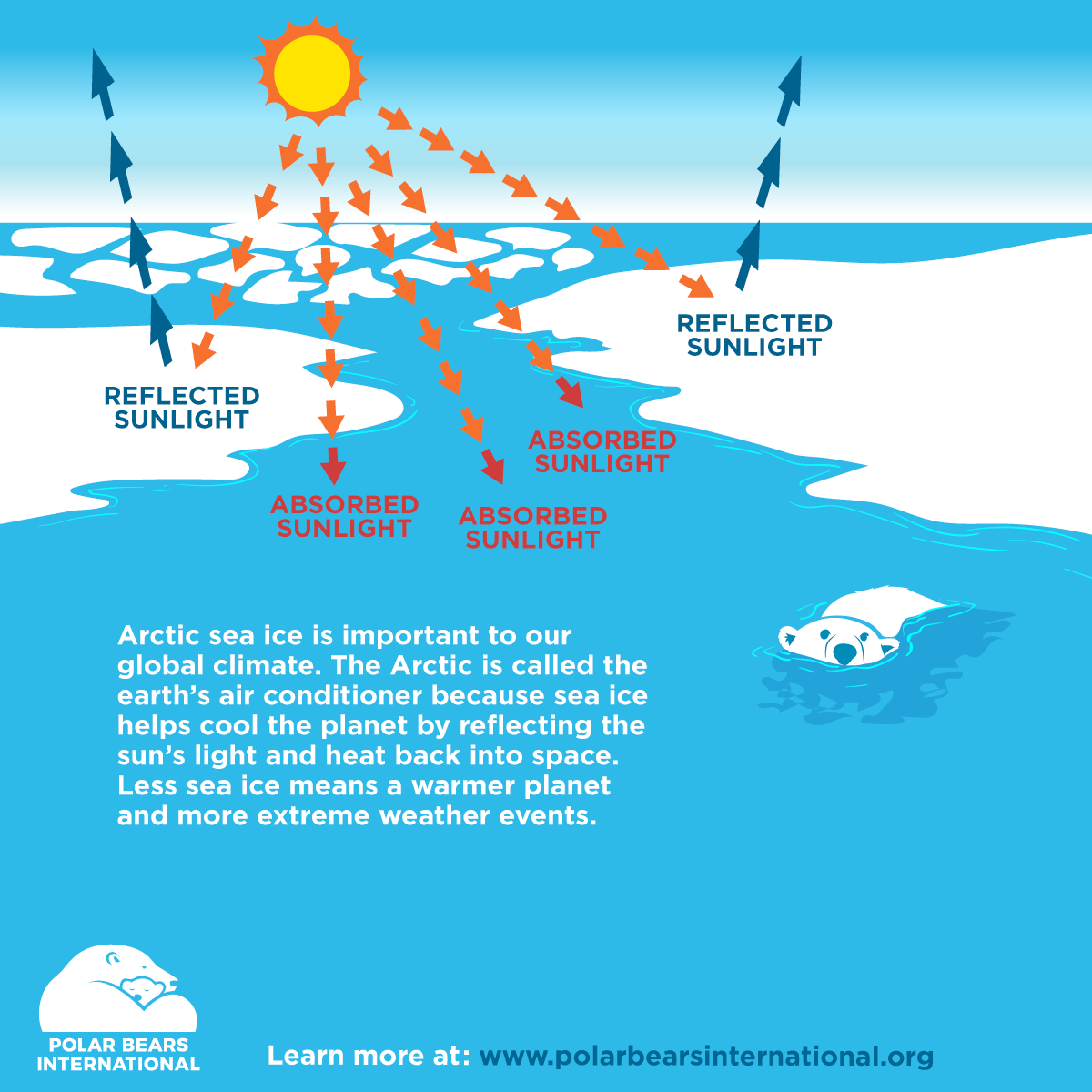 Pbi Artic Sea Ice Day Ice Fact I 2