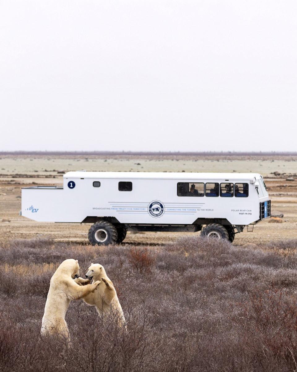 Alex Cupeiro Evt B1 4x5 (1)