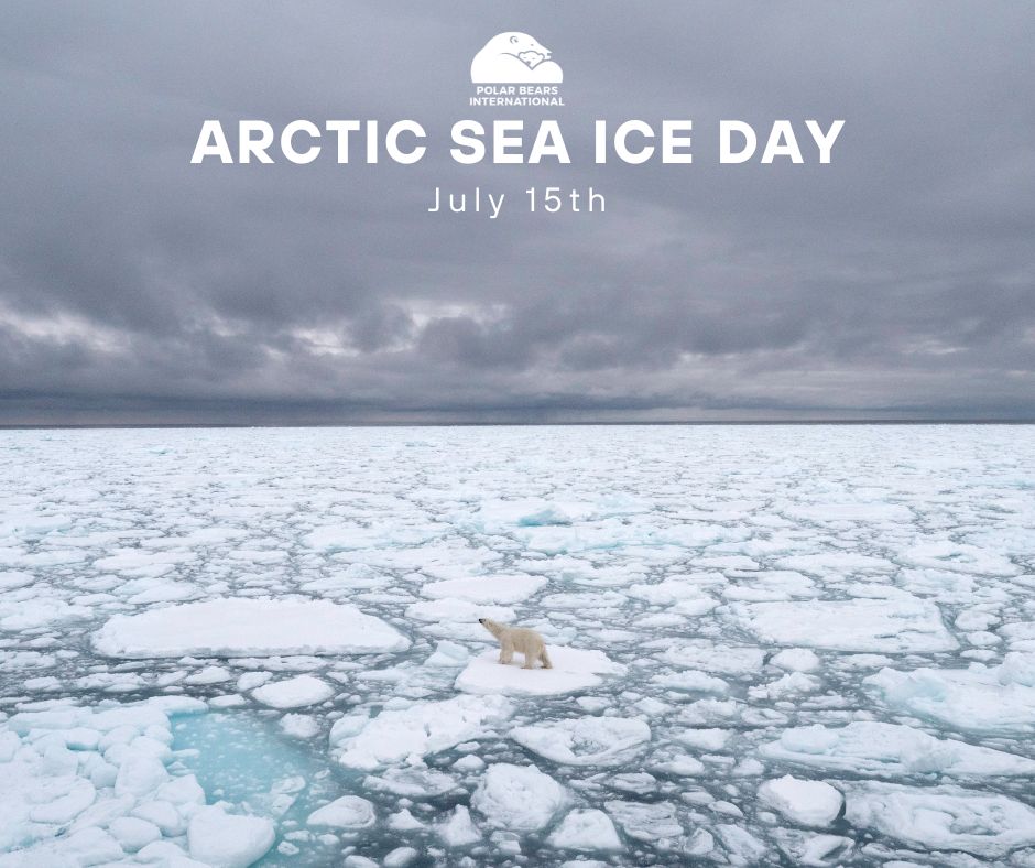 Arctic Sea Ice Day Save the Date   Horizontal 1