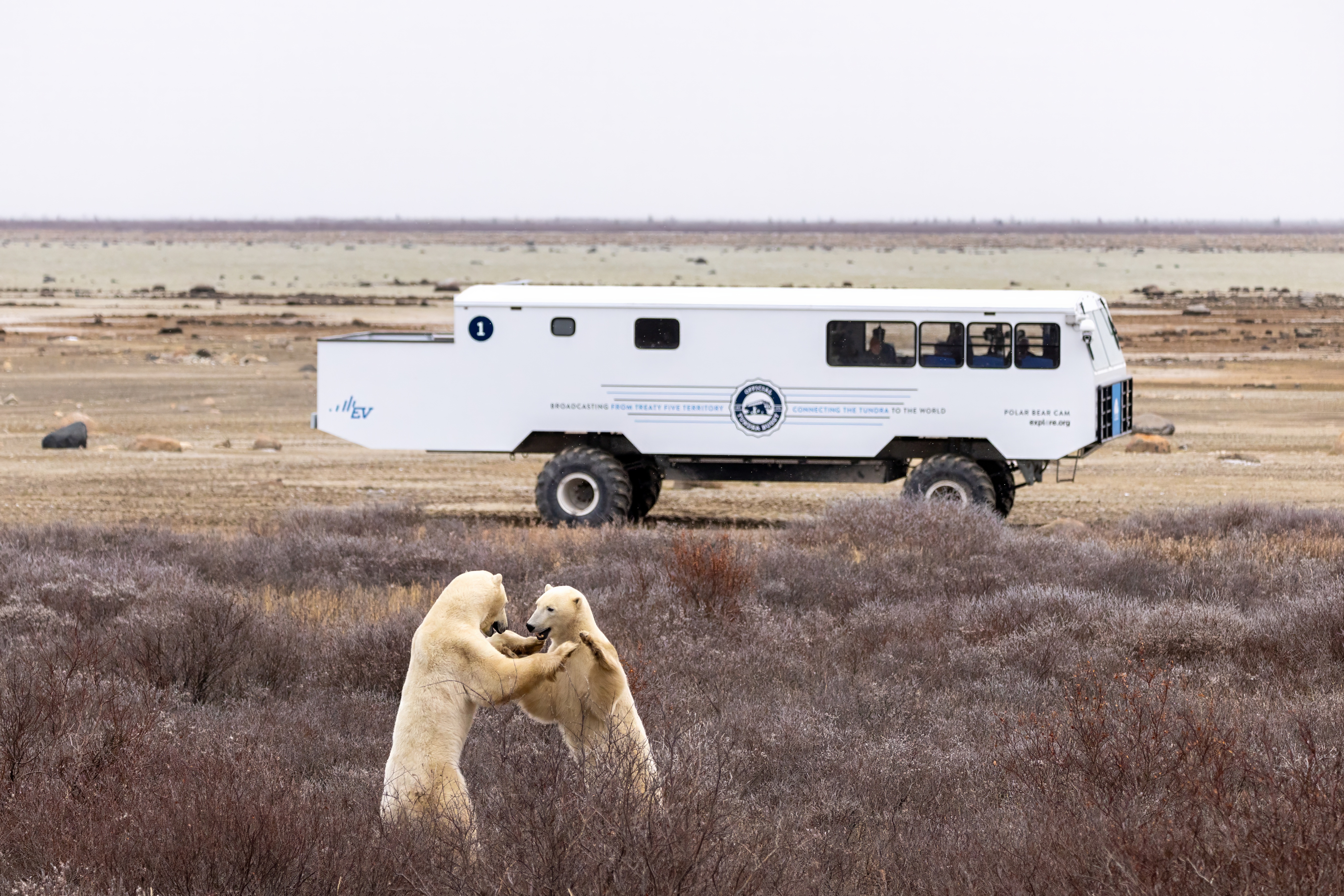 Alex Cupeiro  6940 (1)